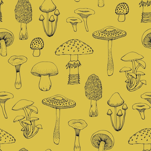 Midnight mushrooms - mustard yellow large