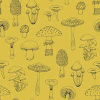 Midnight mushrooms - mustard yellow medium wallpaper