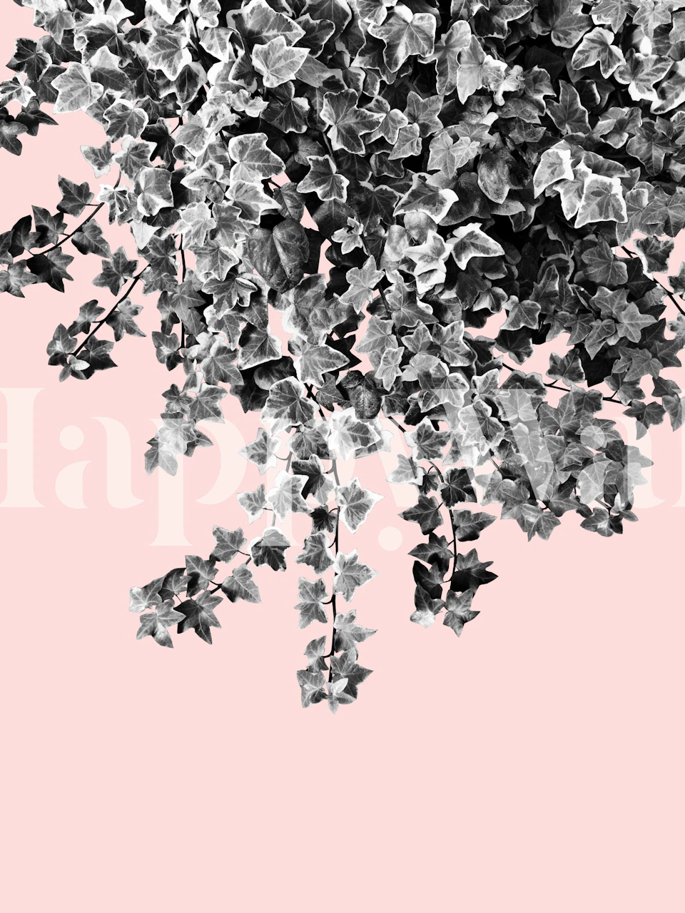 Mural de parede Ivy Delight 7 com folhas de hera cinza em um fundo rosa suave