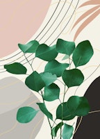 Eucalyptus Glam 2 papiers peint