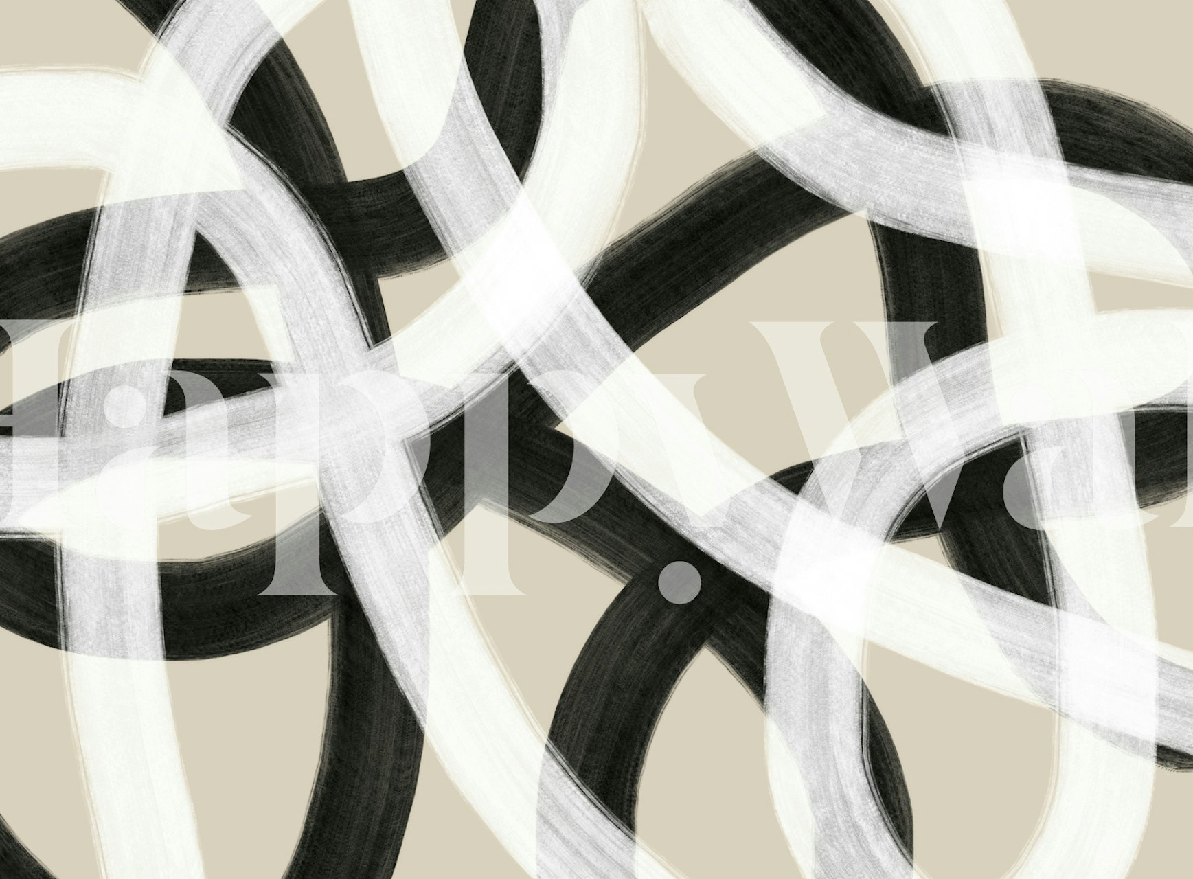 Interwoven Black and White wallpaper in room