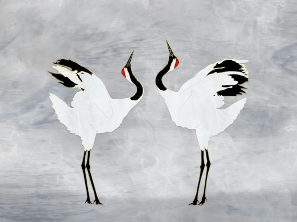 Crane Mating