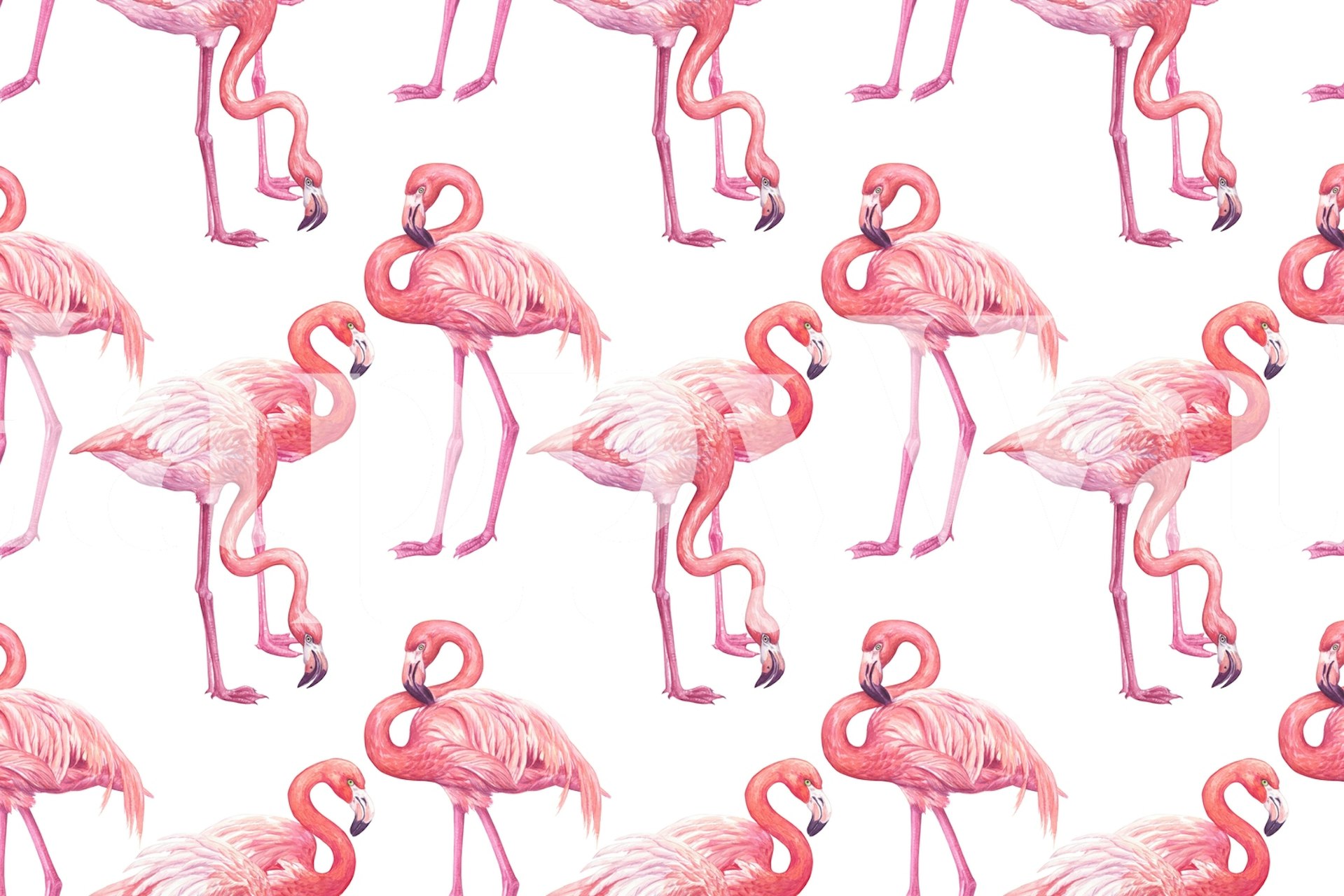 Stylish flamingos in pink on a white background wall mural