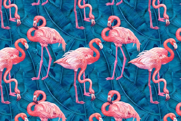 Flamingos on banana leaves