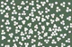 Happy Daisy Fresh Green Flower Dreams
