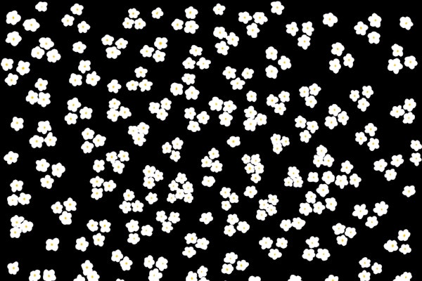 Happy Daisy Black Flower Wall