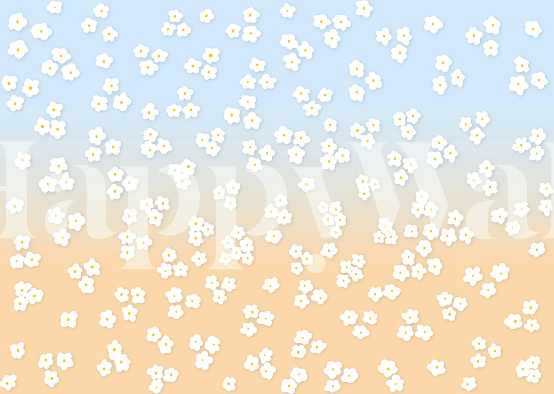 White daisies on a blue and peach background wallpaper