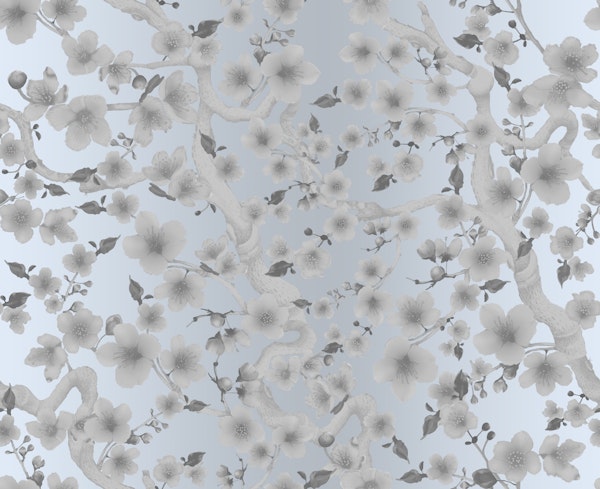 Cherry Plum Floraison on Snow