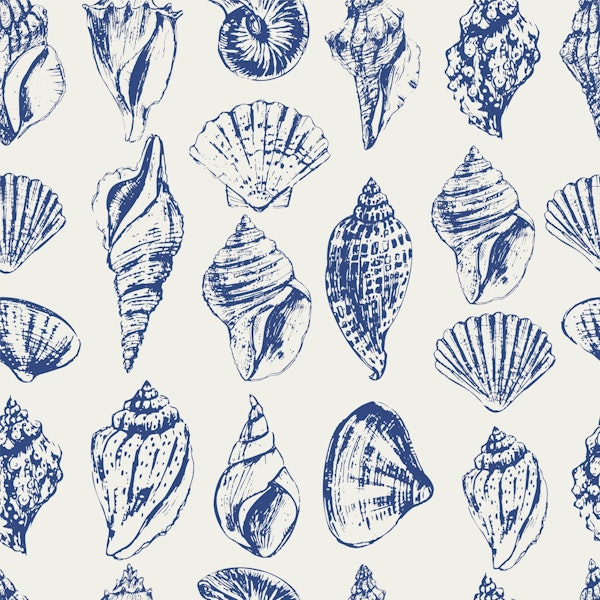 Marine Life Shell Illustration