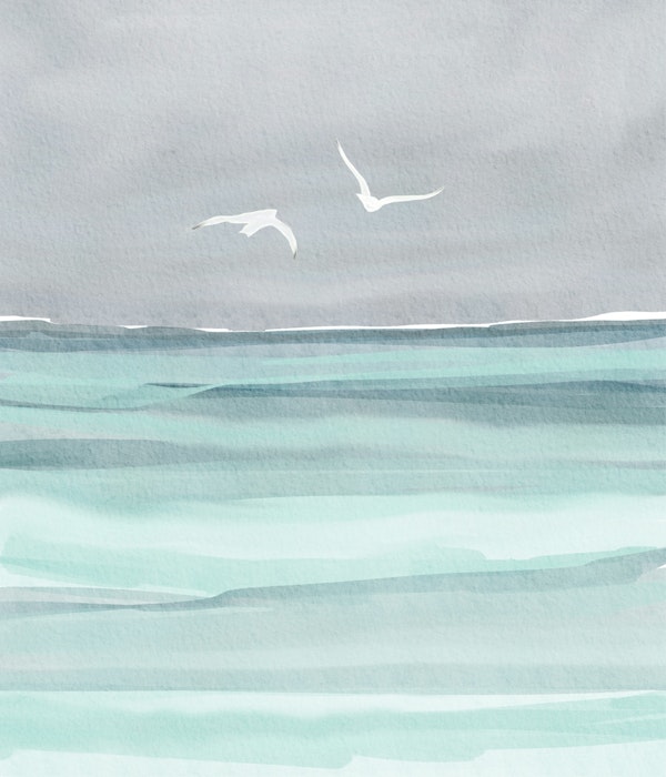 Gentle Waves and Gulls
