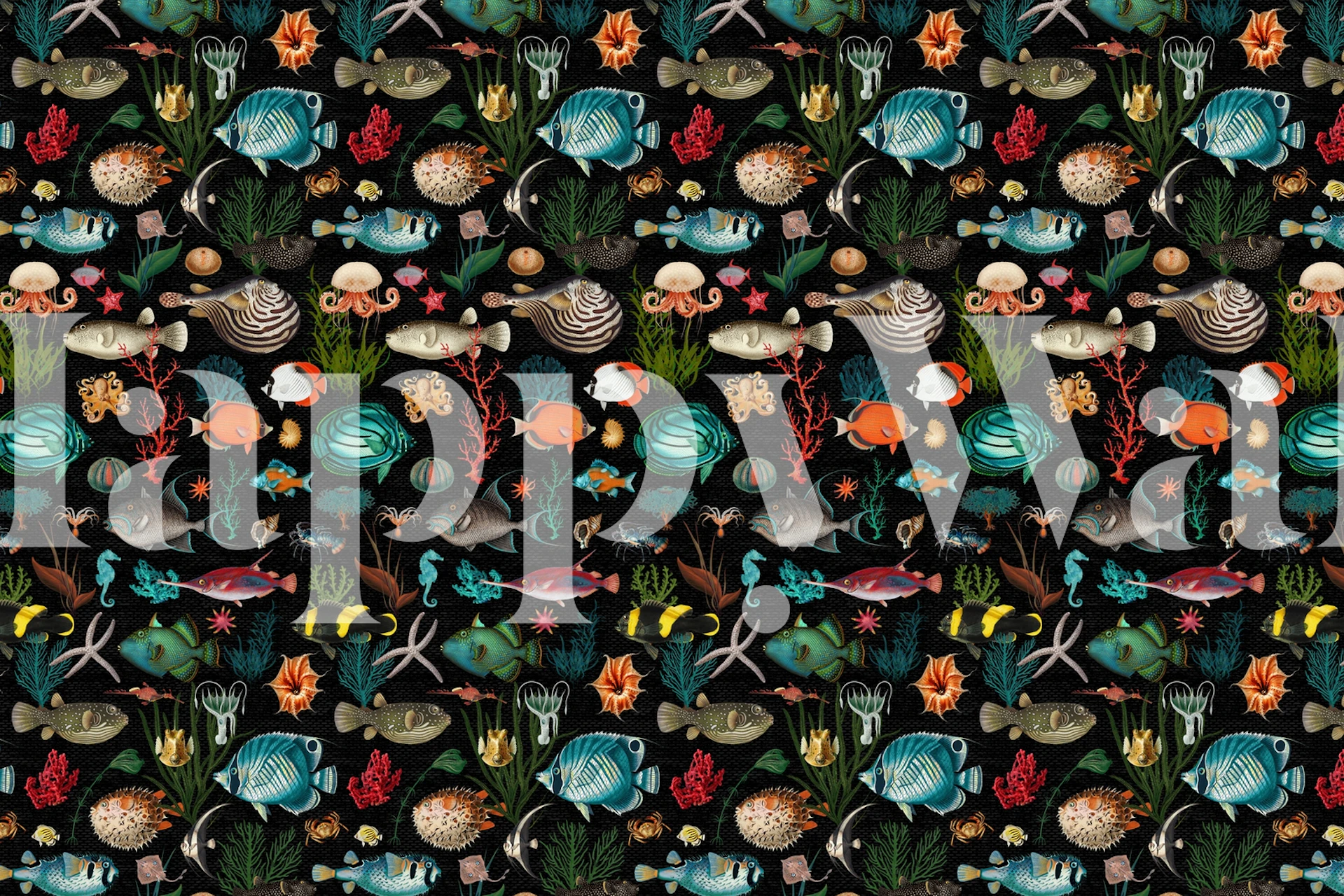 Detaljert undervannspanorama presentert i Underwater Oceania Black Wallpaper Mural