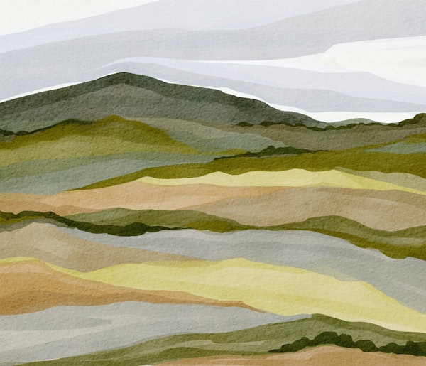 Gentle Wilderness Layers