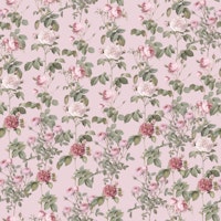 My Rambling Rose Garden Girlsroom Pink tapety