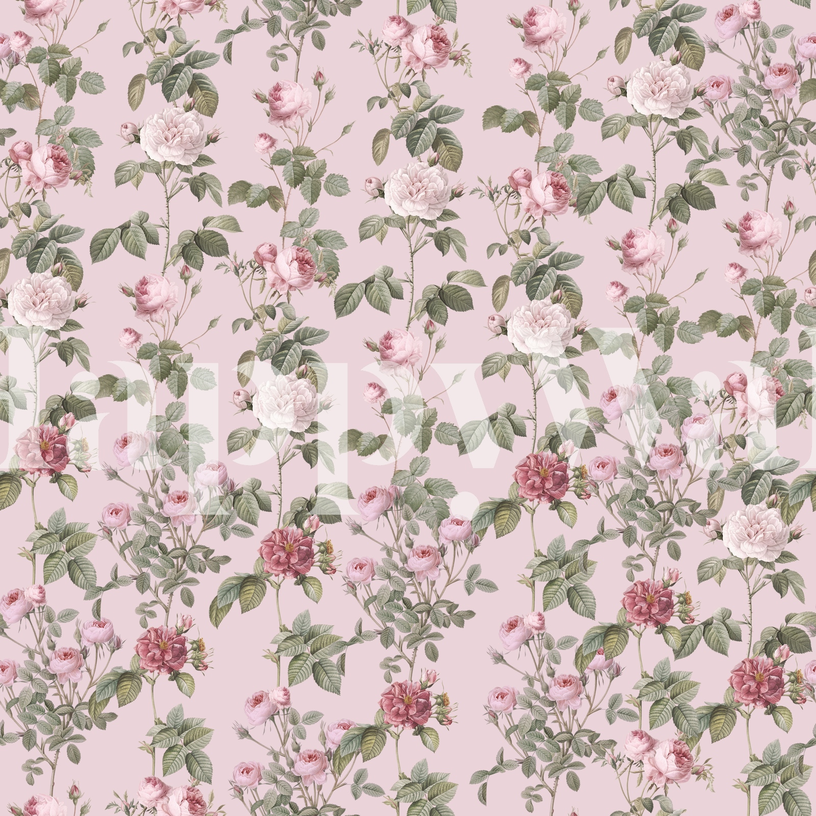 My Rambling Rose Garden Girlsroom Pink