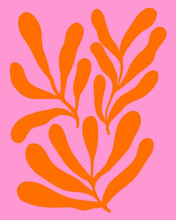Colorful Branches - orange and pink