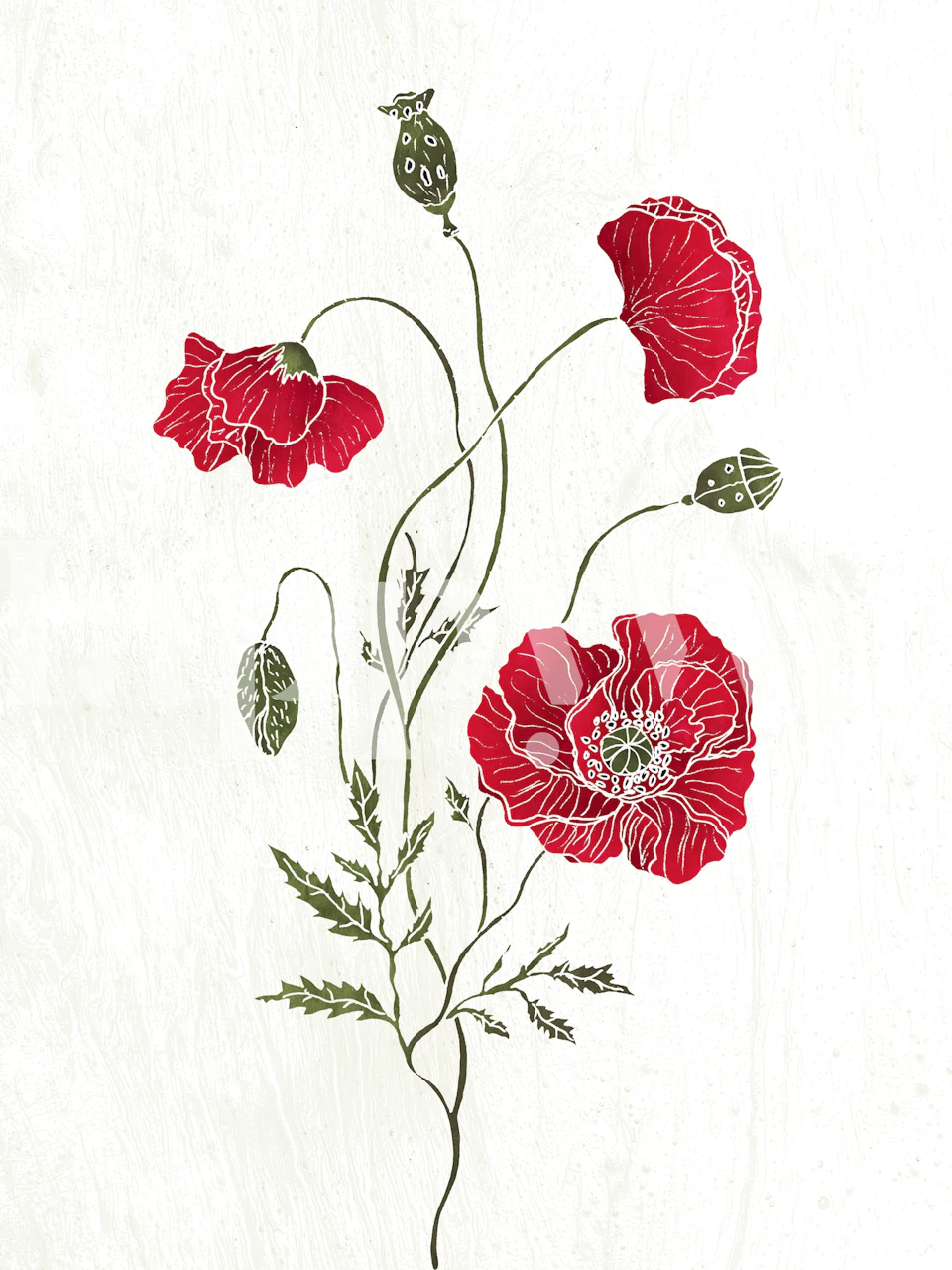 Wild Poppy wallpaper in a room