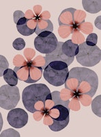 Floral Elegance ταπετσαρία