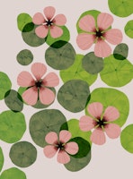 Pink flowers and green leaves ταπετσαρία