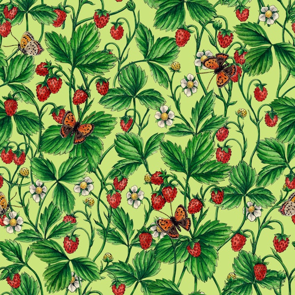 Wild strawberries on honeydew