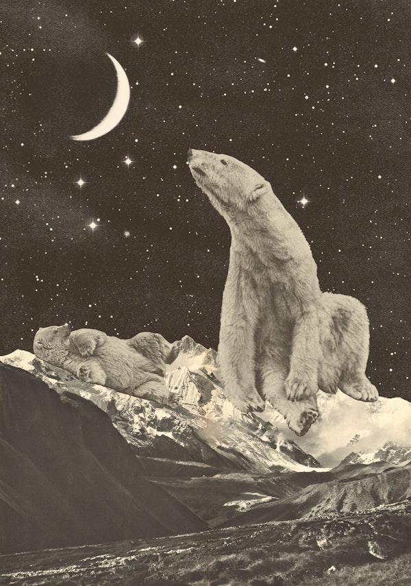 Giant White Bears on mountain