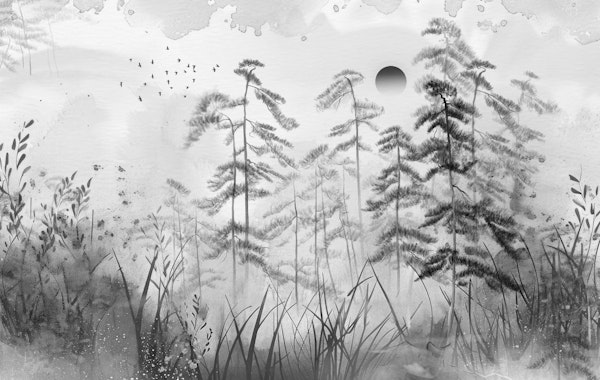 Beautiful Tropical Leaves