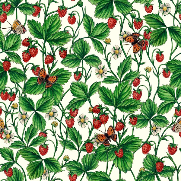 Wild strawberries on off white