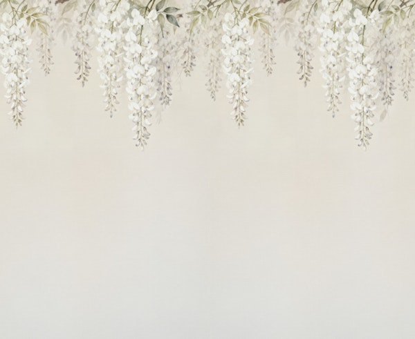 Wisteria Whisper Dream