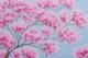 Cherry Blossom Dreams