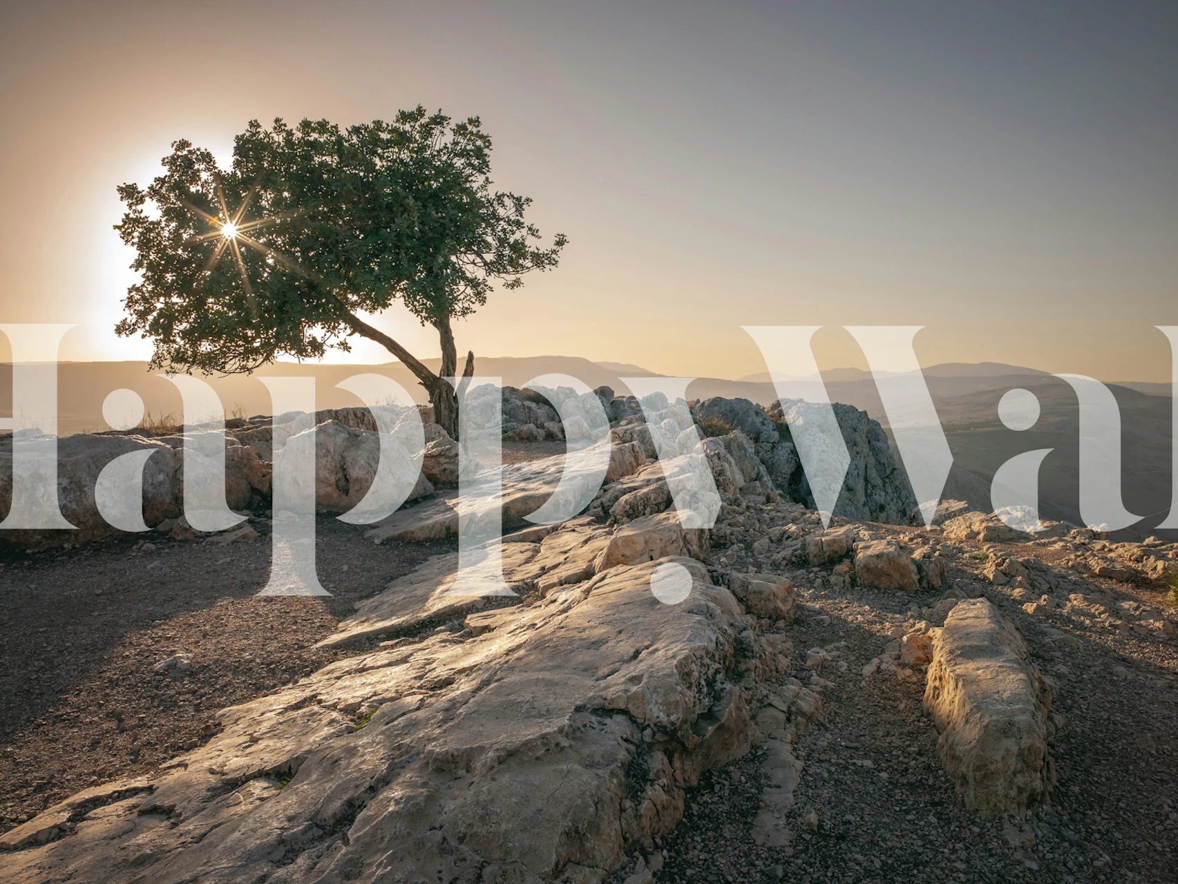 Tapeta Solitary Tree at Dusk w pokoju