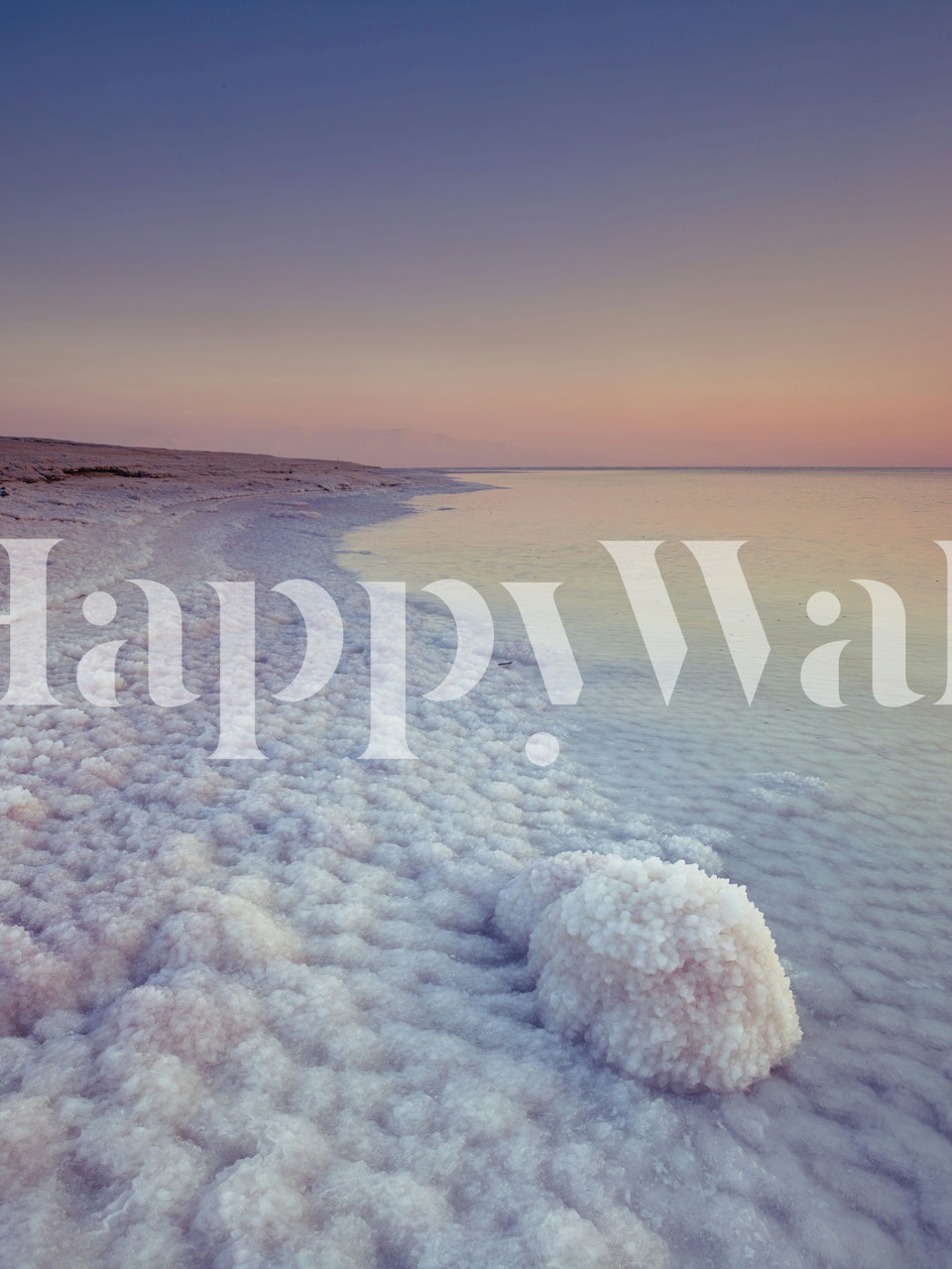 Ethereal Dead Sea coastline wallpaper in a room