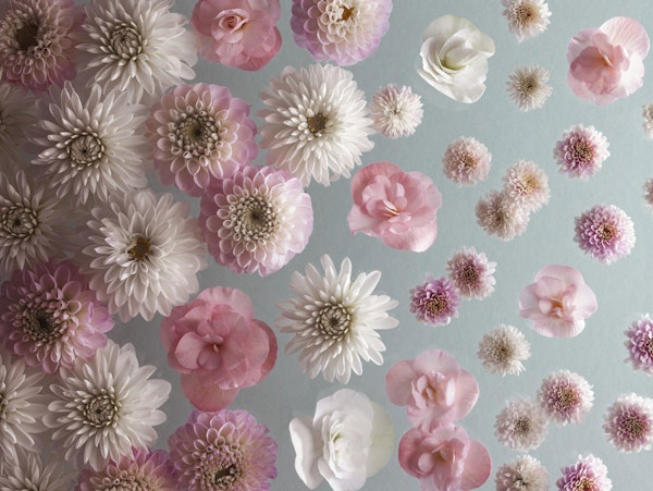 Gentle Floral Cascade