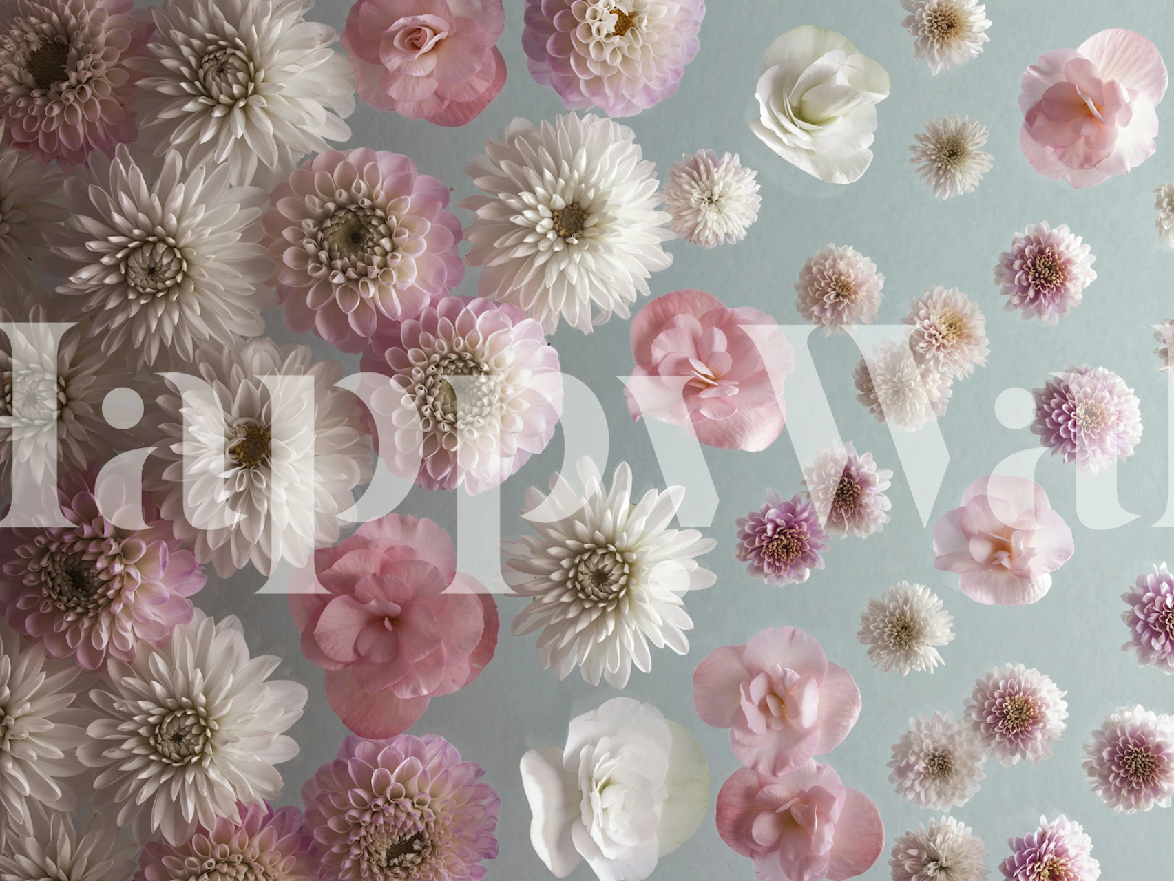 Gentle Floral Cascade wallpaper in a room