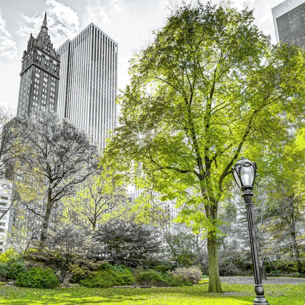 Metropolitan Green Hideaway