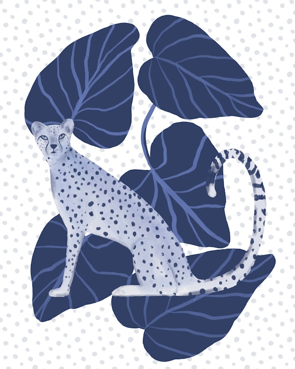 Blue Cheetah