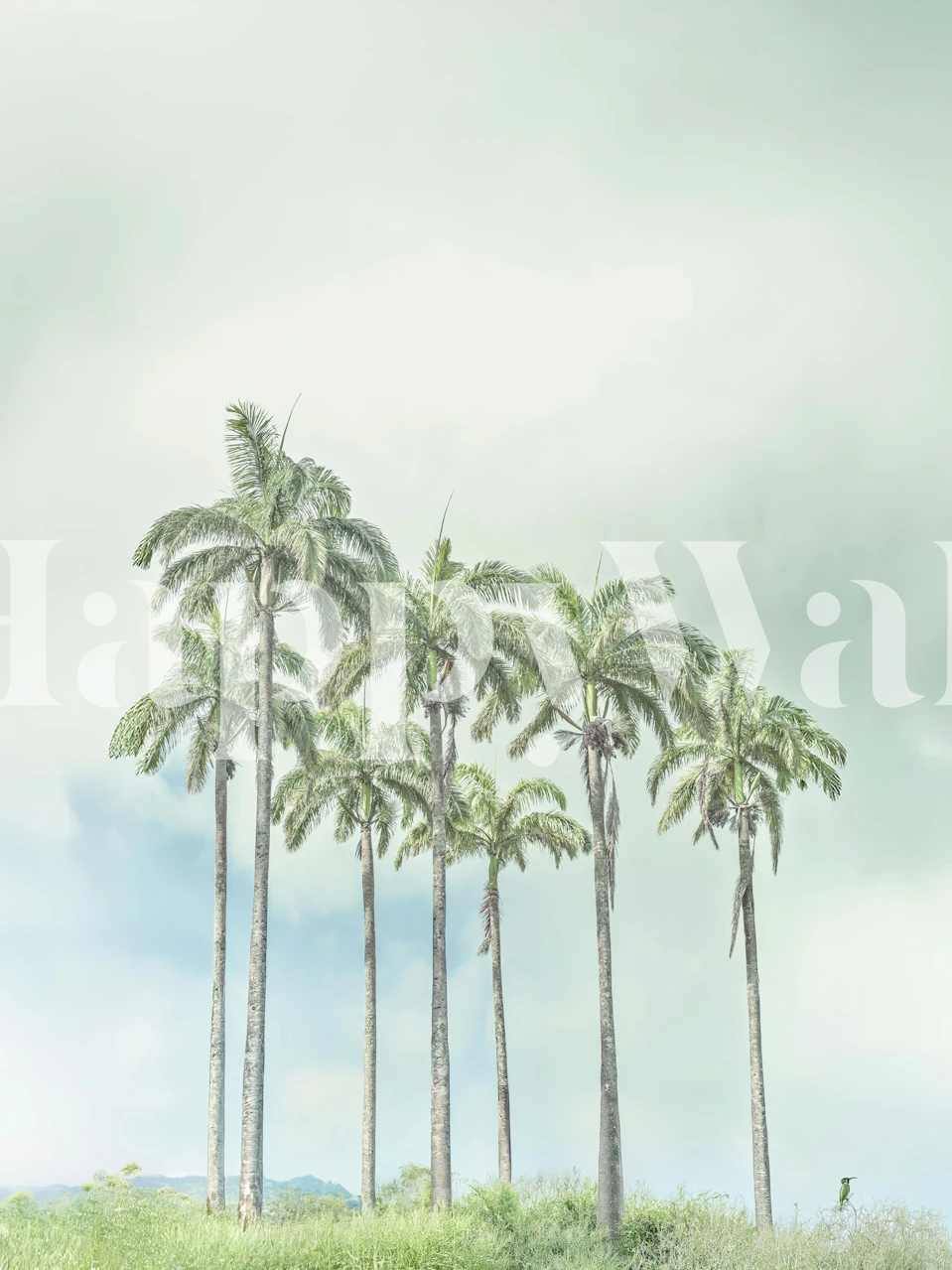 Tropical Palm Vista tapet i et rom