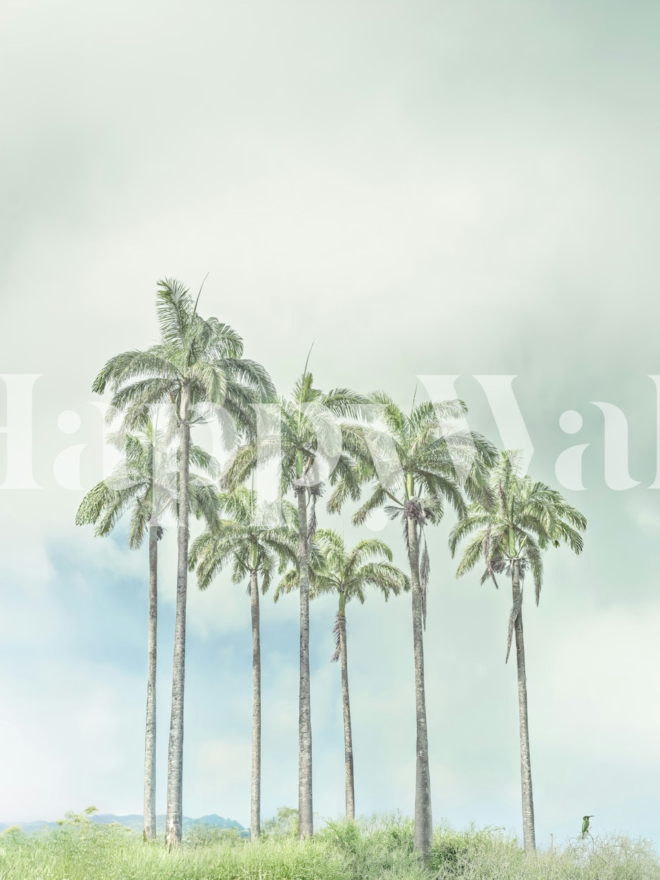 Tropical Palm Vista wallpaper in a room