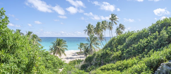 Tropical Beach Bliss