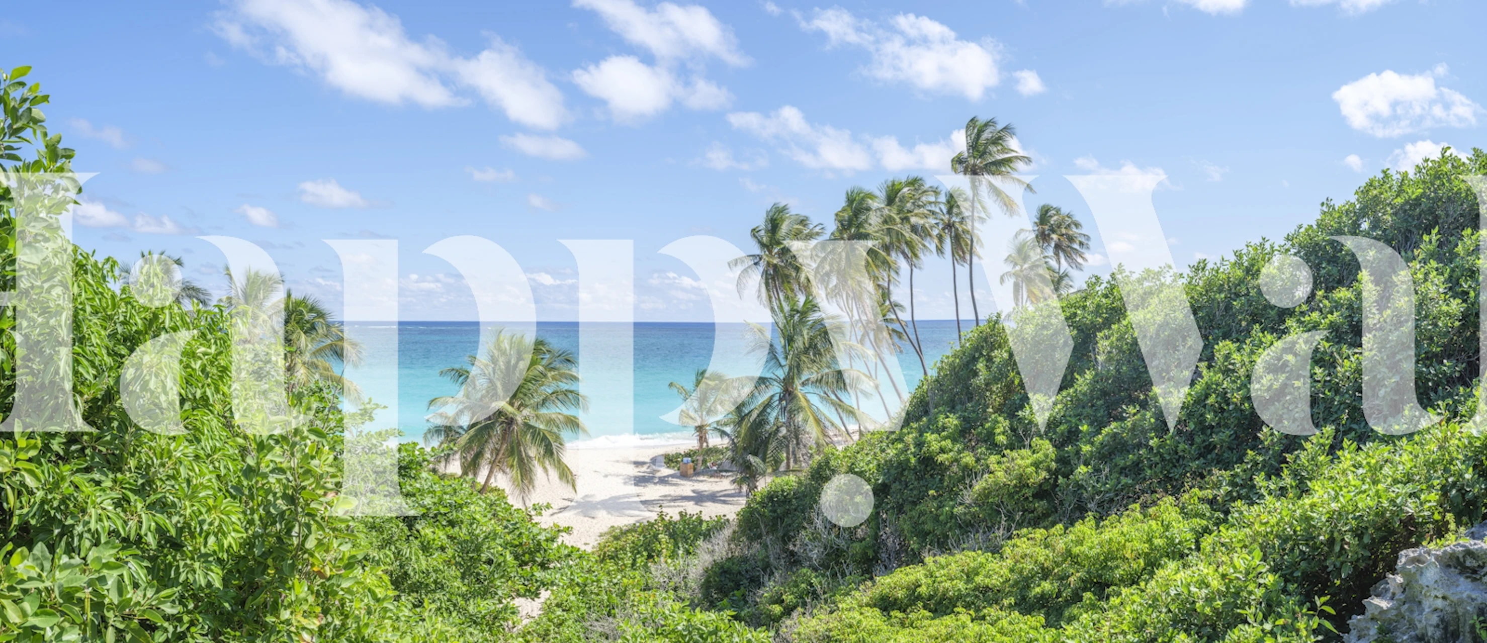 Tropical Beach Bliss wallpaper in a room