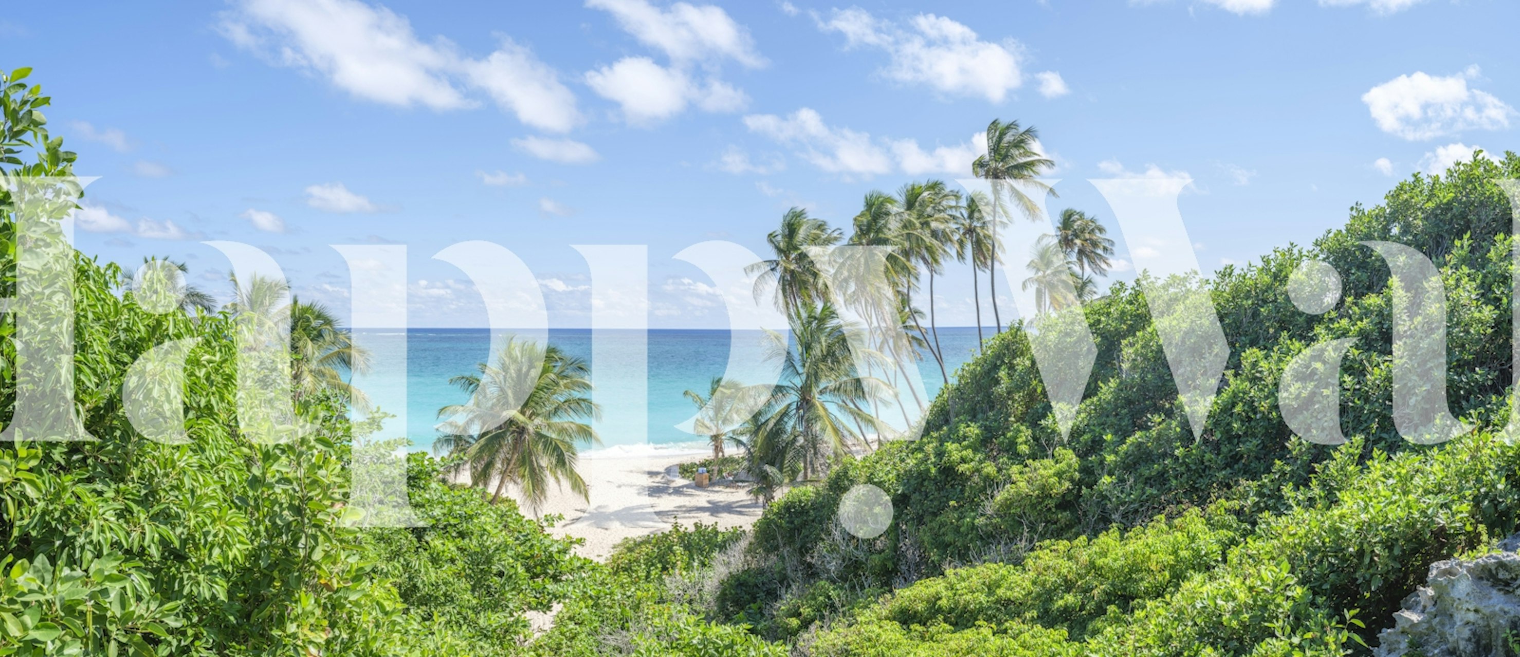 Tropical Beach Bliss wallpaper in a room