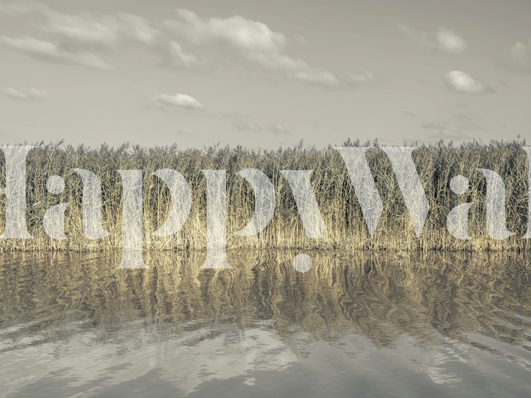 Neutral grass with reflections on water, calm colors wallpaper