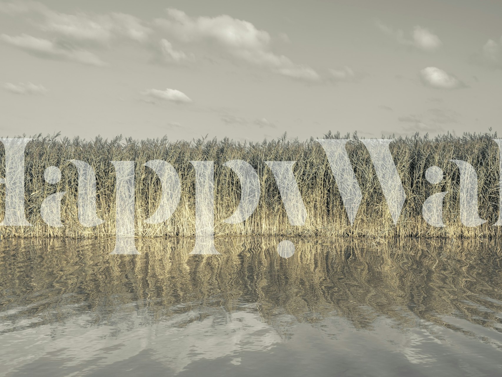 Ταπετσαρία Whispering Water Grass σε δωμάτιο