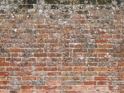Mural