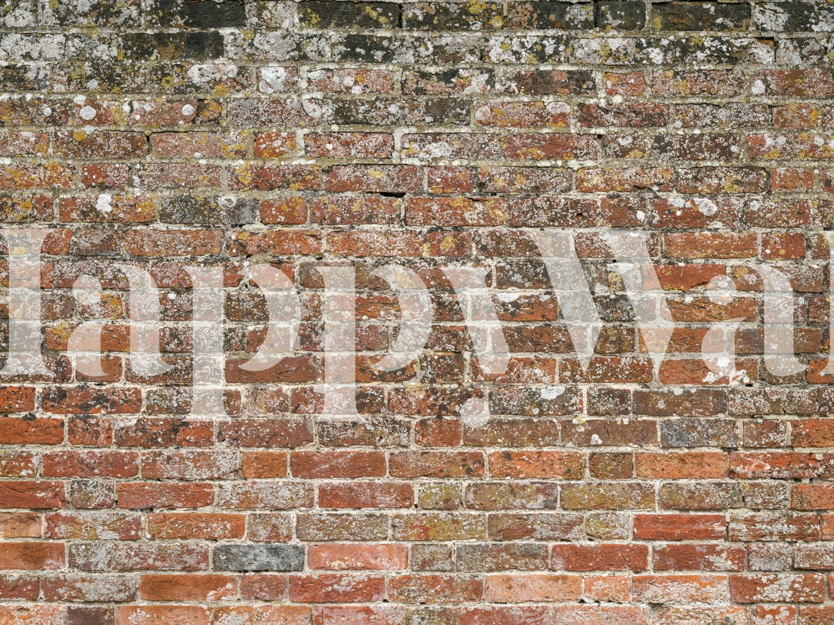 Classic Red Brick Look carta da parati in una stanza