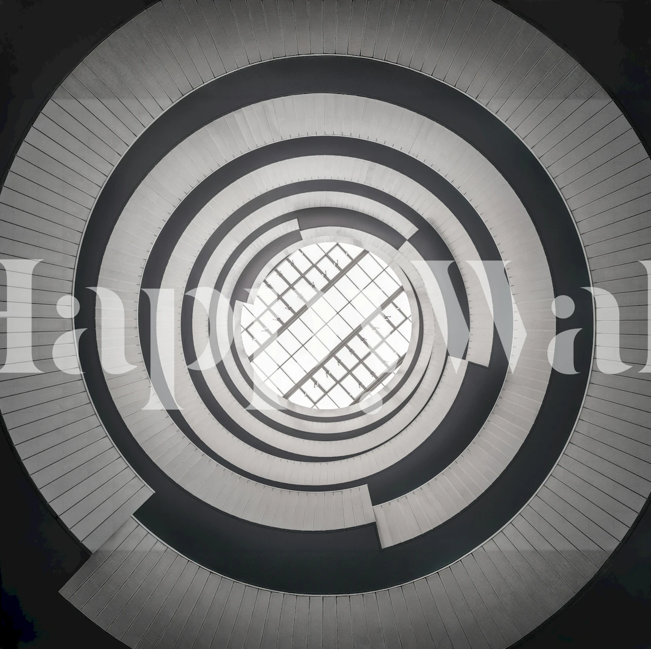 Abstract concentric circles pattern in black and white wallpaper