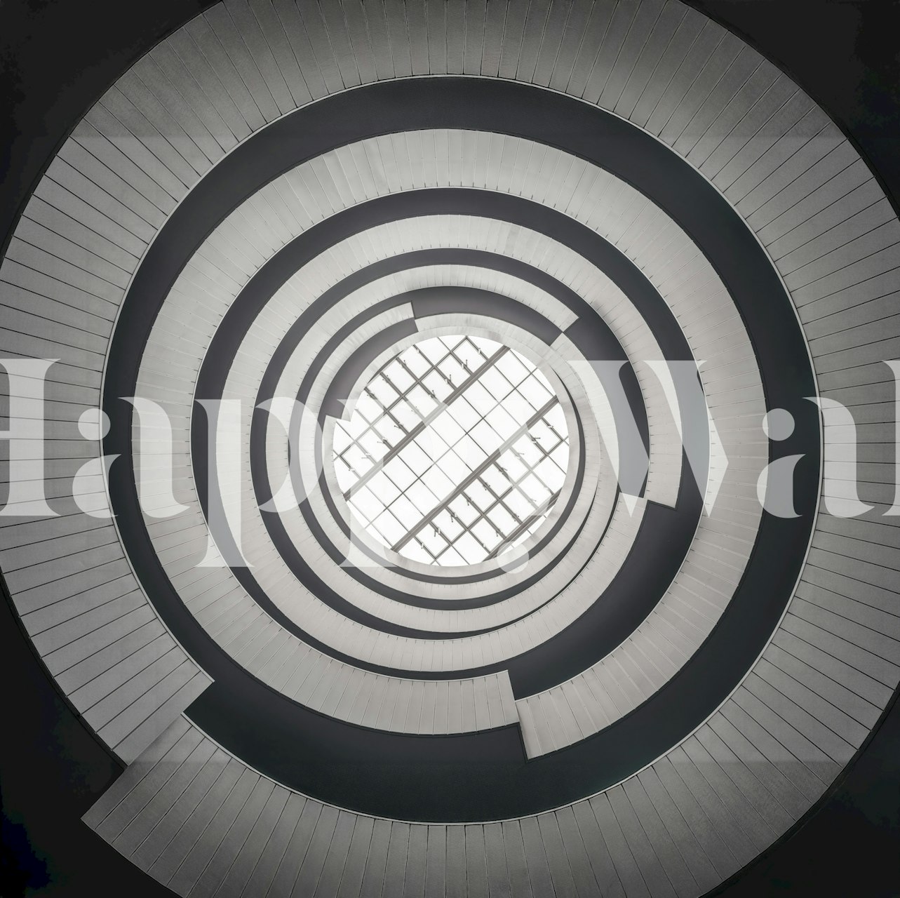Abstract concentric circles pattern in black and white wallpaper