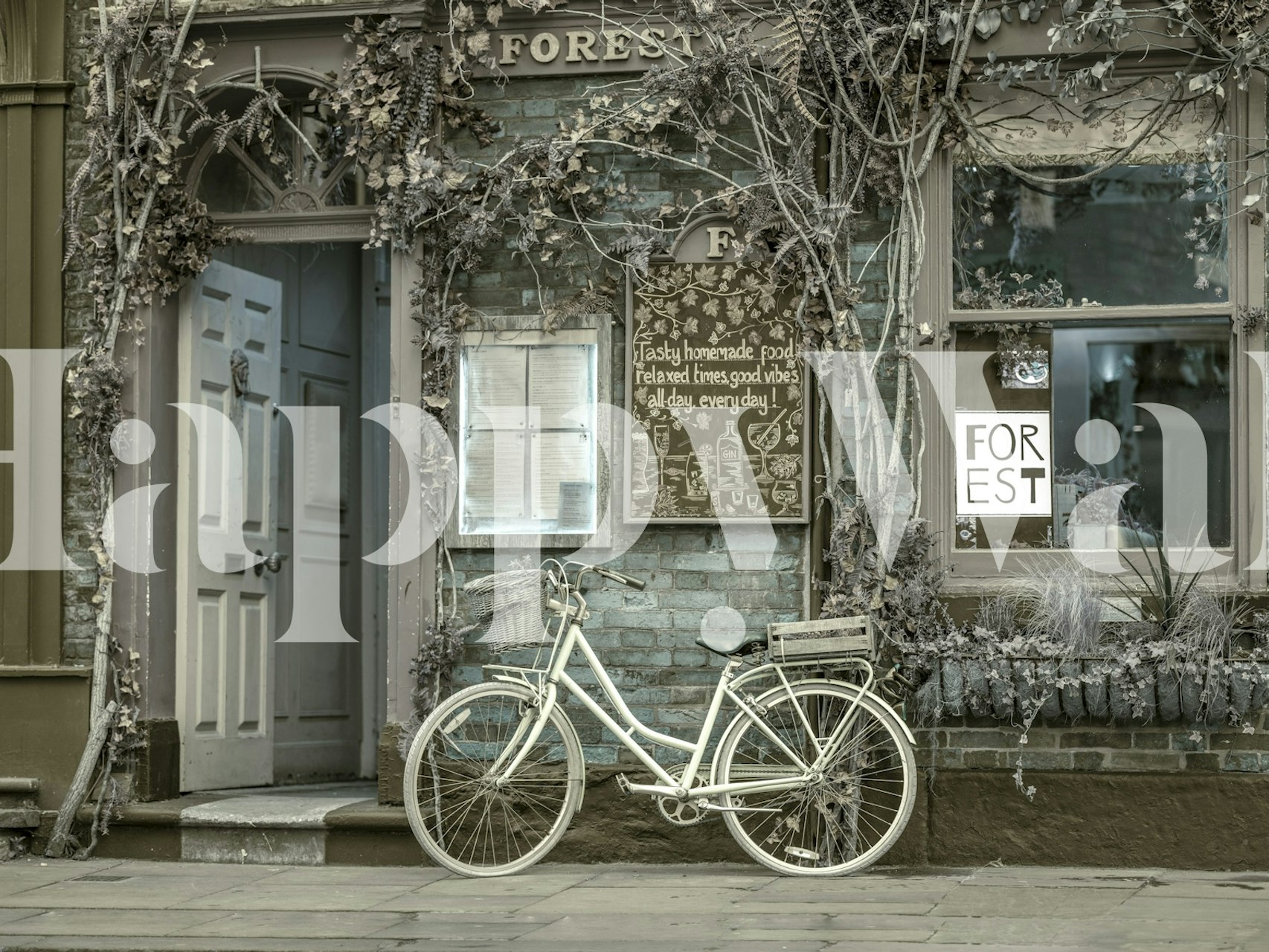 Vintage bicycle in front of a cafe with green vines wallpaper