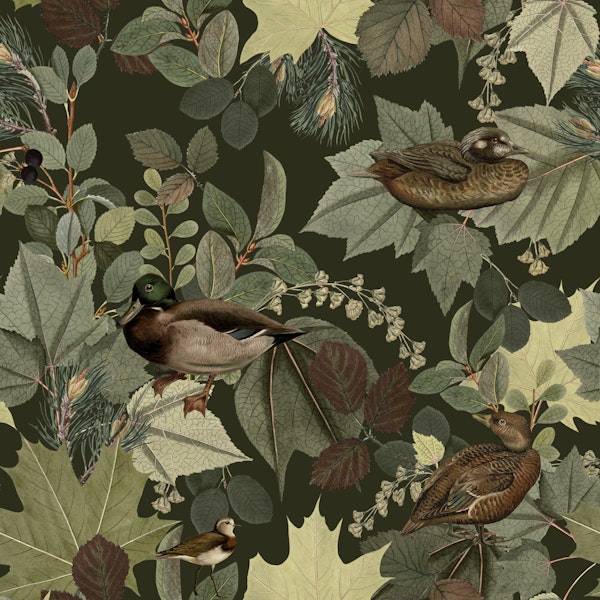 Leafy Retreat for Ducks