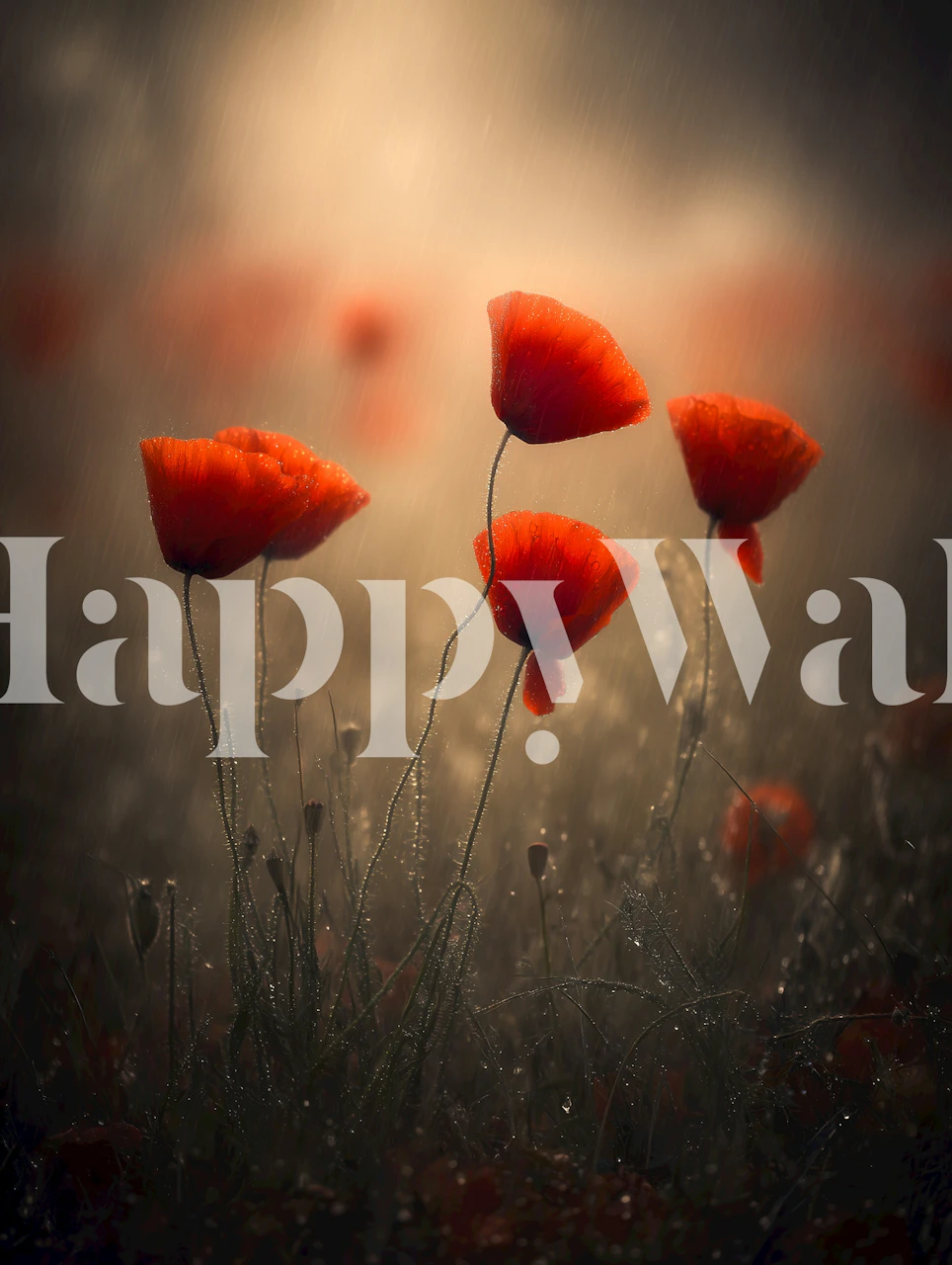 Poppies at Rainy Dawn tapet i et rum