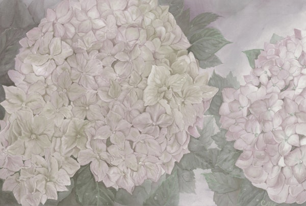 Dreamy Antique Hydrangeas