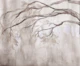 Tranquil Tree Canopy